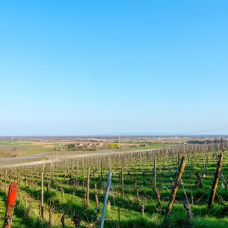 Semesterbostad Sur La Route Du Vin *