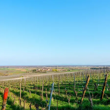 Semesterbostad Sur La Route Du Vin *
