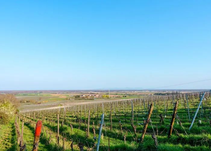 Vakantiehuis Sur La Route Du Vin *